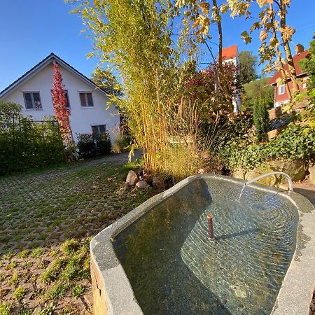 Pia'S Nature Retreat Neukirch  Exteriör bild